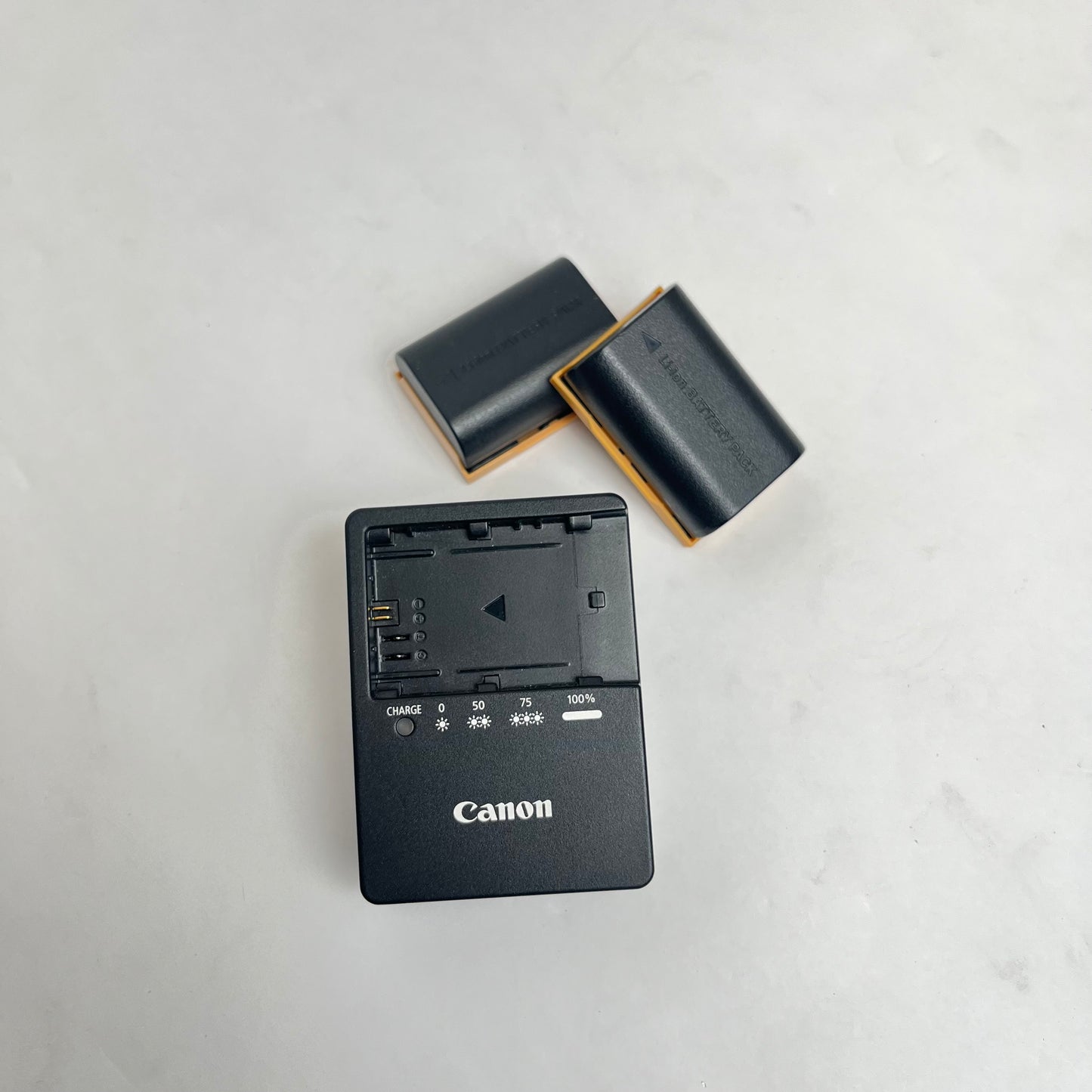 Canon EOS R6 Mirrorless Camera Body only 20.1 megapixel